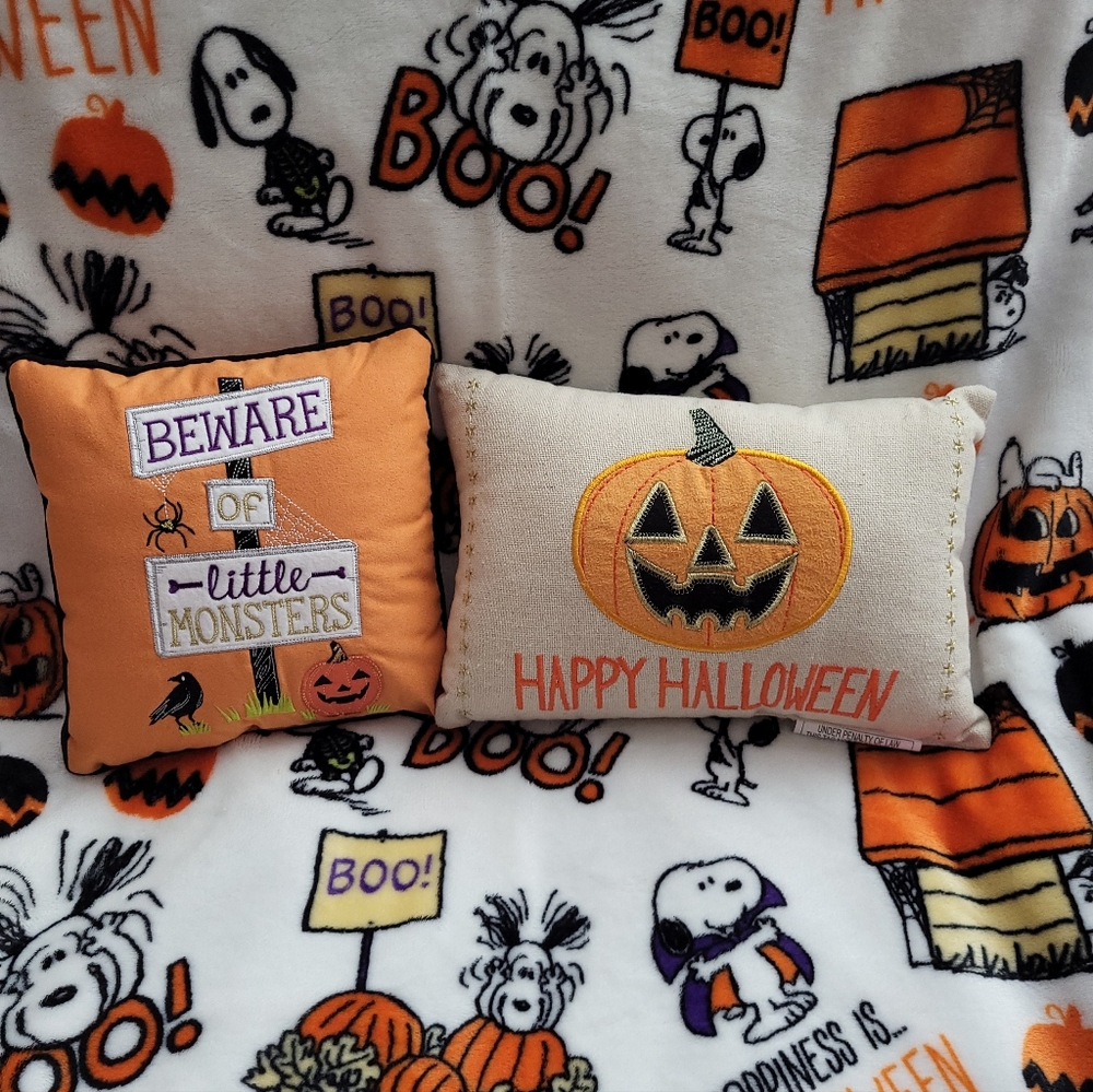 2) Small Halloween Throw Pillows from Kohls. Celebrate Halloween Together. Cute